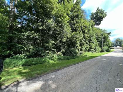TRACT #3 Mathers Road Track 3 Forrest Hills, Hodgenville, KY, 42748