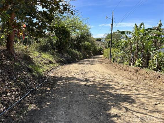 Land For Sale at Peaceful Coffee Farm 4.7 ha Ready for House being ...