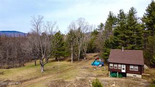 1158 NYS Route 28N, Olmstedville, NY, 12857