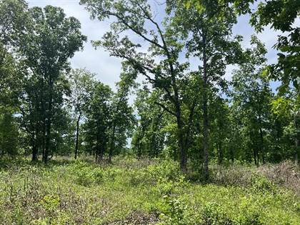 Picture of TBD Golden Acres Rd, Lincoln, MO, 65338