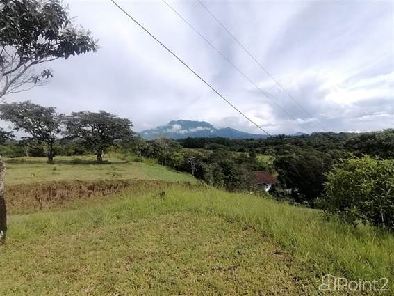 Flat Building Site with Volcan Baru Views for Sale in Eden, Potrerillos - photo 9 of 10