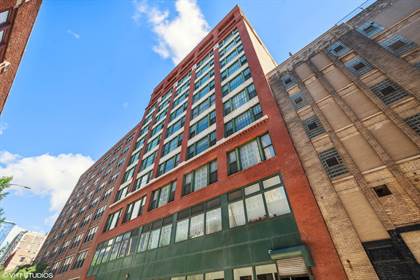 633 S. Plymouth Court 309, Chicago, IL, 60605