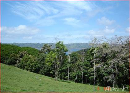 Aguacate Great Lot in Gated Marina Community, Arenal, Guanacaste