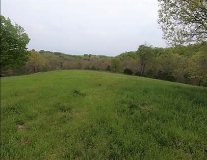 Black Ranch Road Tract 2, Lead Hill, AR, 72644