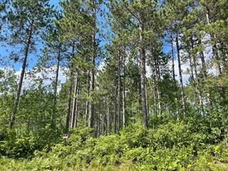 225 Ac TOWER RD, Tomahawk, WI, 54487