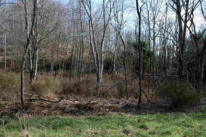 Lot 10 Low Hill NW JACKSON RIVER RD, Monterey, VA, 24465