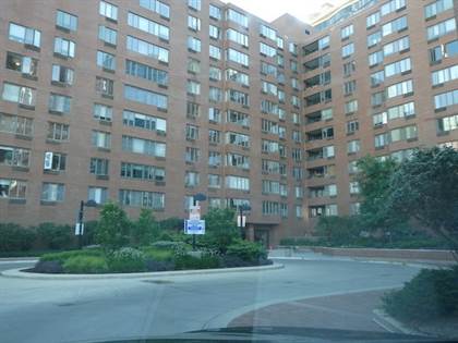 801 S Plymouth Court 321, Chicago, IL, 60605