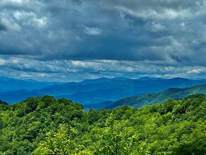 Blue Ridge Parkway  Maggie Mills Photography