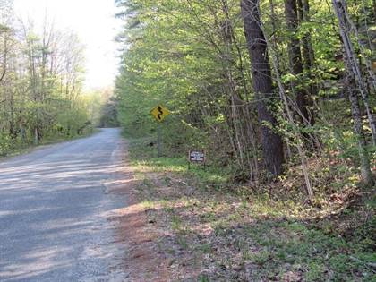 lot #2 Griffin Rd., Wells, NY, 12190