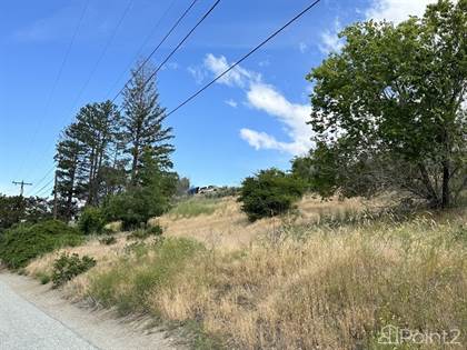 Lot/Land for sale in NNA Riverview Cemetary Rd , Chelan, WA, 98816