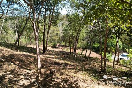 Land For Sale at Vista Jungla | Lot For Sale In Los Jobos, Tamarindo ...