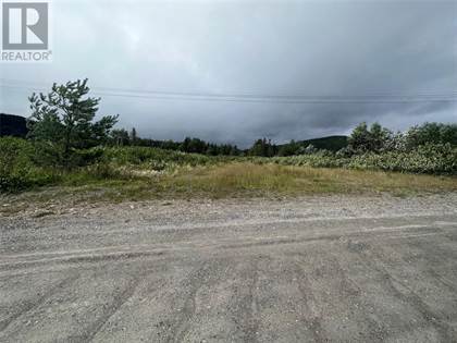 Land For Sale at 00 430 Route, Wiltondale, Newfoundland and Labrador ...