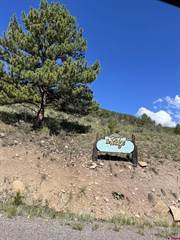 65 Timberline, South Fork, CO, 81154