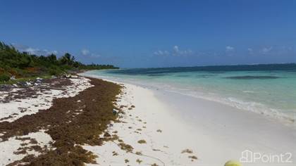 Coconut Beach Costa Maya, Mahahual, Quintana Roo — Point2