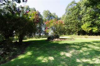 28 County Road 556, Gainesville, MO, 65655