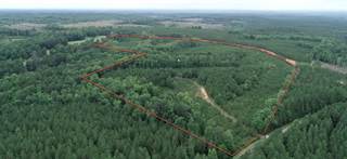 54.95 Ac OLD WIRE ROAD, Junction City, GA, 31812