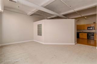 633 S. Plymouth Court 409, Chicago, IL, 60605