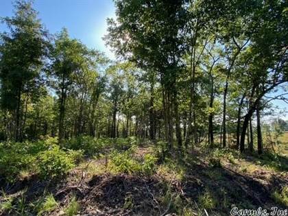 TBD Tract 2 Highway 88 West, Oden, AR, 71961