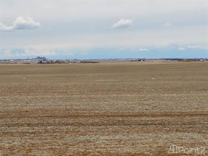 Regina 147 Acres Grain Farmland, RM of Sherwood No 159, Saskatchewan
