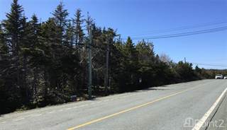 179 Main Road, Pouch Cove, Newfoundland and Labrador, A0A 3L0