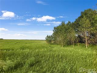 Kinley Land and Lots, Kinley, Saskatchewan, S0K 2E0