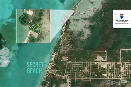 Large (0.19 acre) Beachfront Lot at Secret Beach, Belize - photo 2 of 4