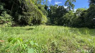 1 ACRE - Beautiful Ocean and Mountain views, big building site, legal water, no restrictions(B)!!!, Platanillo, Puntarenas