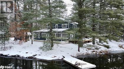 Severn River Near Washago - Green River