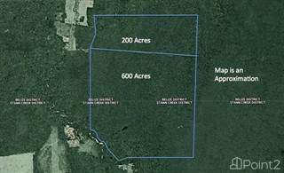 Belize Land for Sale 800 Acres off the Hummingbird Highway, Hopkins, Stann Creek