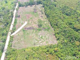Farm And Agriculture for sale in 15 Acres With Well And Fruit Trees, Belmopan, Cayo