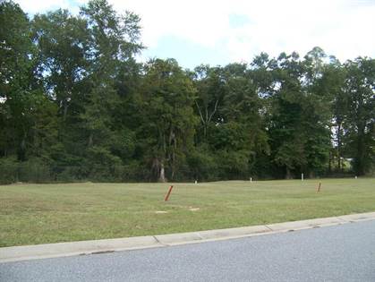 Picture of 0 Point Drive, Georgetown, GA, 39854