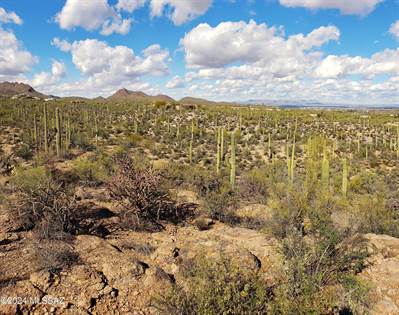 Picture of 600BLK N Camino De Oeste Lot B, Tucson, AZ, 85745