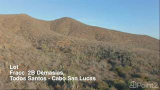 TODOS SANTOS - ELIAS CALLES, Elias Calles, Baja California Sur