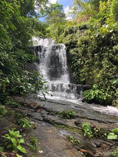 Picture of 42.4 Acres Waterfalls, Ocean Views In El Silencio Arriba, Quepos, Puntarenas