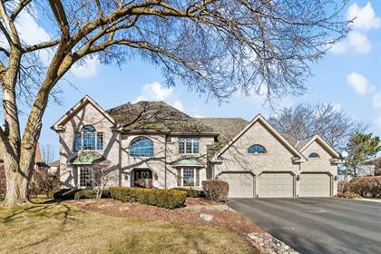 10538 Wildflower Road, Orland Park, IL, 60462