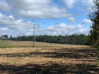 Tract 6 Tract 6 Coal Bluff Road, Lena, MS, 39094