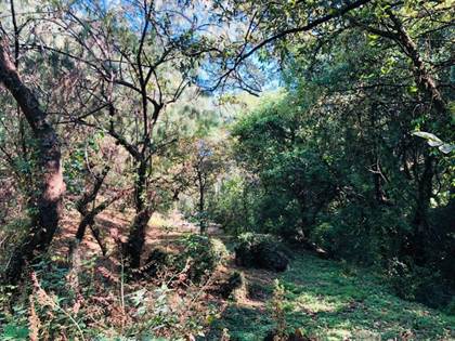 Commercial Land For Sale At Paraje Cocuauila, Los Ocotes, Tepoztlan 