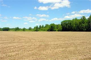 38 Acres On Cty. Rd. G, Ladysmith, WI, 54848