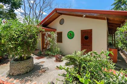 Finca Aracari – Your Natural Zen Awaits - 9.17 Acres, Lagunas, Puntarenas
