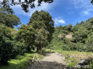 Certified Organic Land for Sale in Palmira Arriba just $14m2, Boquete, Chiriquí