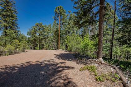 Lot6 Henry Summit Dr, High Rolls Mountain Park, NM, 88325