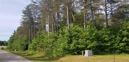 Picture of Lot A-3 Meadow View Lane, Hart, MI, 49420