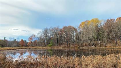 0 Snydertown Estate Rd 166 Lot, Greater Claverack - Red Mills, NY, 12521