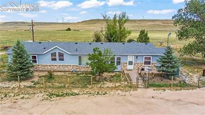 29550 Paint Mine Road, Black Forest - Peyton CCD, CO, 80808