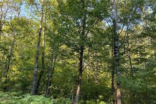 Lot 78 Woodcrest Drive & Lot 40 Tanglewood Addition, Cable, WI, 54821