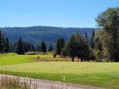 725 Golf View Dr, Seeley Lake, MT, 59868