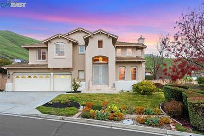48815 Summit View Ter, Fremont, CA, 94539