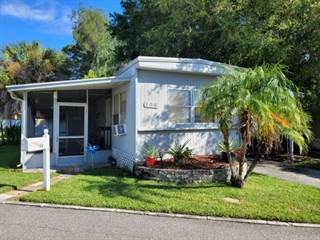 123 S. McMullen Booth Road 108, Clearwater, FL, 33759