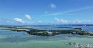 West Coast Beachfront Lot 1.48 Acres, Ambergris Caye, Belize