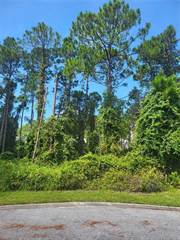 HICKORY TREE COURT, Lake Mary Jane, FL, 32832